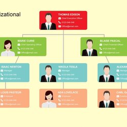 Organizational Chart Templates Word Excel Throughout Office Structure Stirring