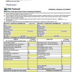 High Quality Personal Financial Statement Templates Forms Template Kb