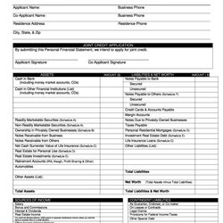 Marvelous Personal Financial Statement Templates Forms Template
