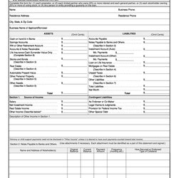 Exceptional Personal Financial Statement Templates Forms Template Examples Kb