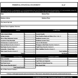 Peerless Personal Financial Statement Templates Forms Template Lab