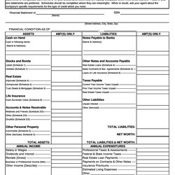 Great Personal Financial Statement Templates Forms Template Word Examples Kb