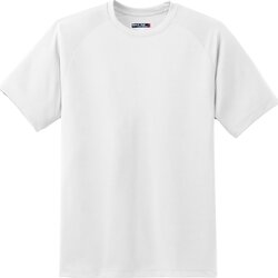 Exceptional White Blank Shirt Template
