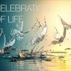 Brilliant Celebration Of Life