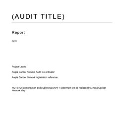Supreme Internal Audit Report Format In Excel Sample Templates Free Template
