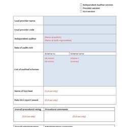 Free Audit Report Templates Internal Reports Template