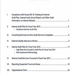 Swell Audit Report Template Internal Example