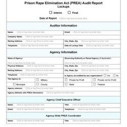 Free Audit Report Templates Internal Reports Template