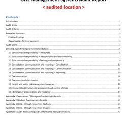 Outstanding Free Audit Report Templates Internal Reports Template