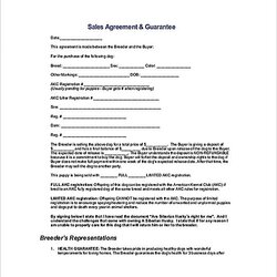 The Highest Standard Reliable Sales Agreement Template For Free To Copy Sample Guarantee Templates