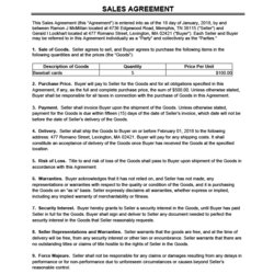 Champion Free Sales Agreement Template Word Warranties Contract Agreements Sample
