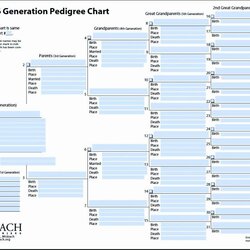 Magnificent Free Family Tree Template Word Forms