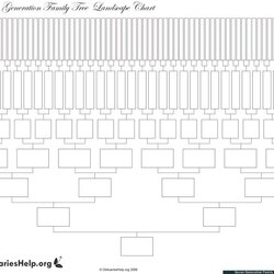 Cool Free Family Tree Templates Word Excel Template Lab