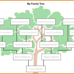 High Quality Family Tree Templates For Microsoft Word Template