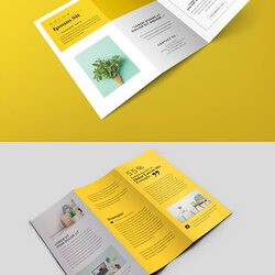 Fine Top Fold Brochure Templates For