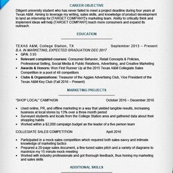 Magnificent College Student Resume Sample Writing Tips Companion Internship Level Templates Accounting Entry