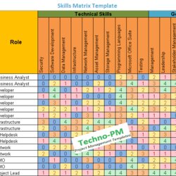 Out Of This World Skills Matrix Template Project Management Templates Skill Excel Employee Database Pm