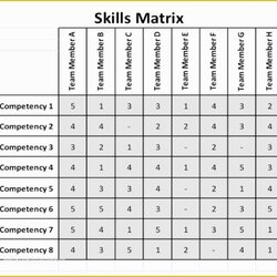 Splendid Activity Matrix Template Free Employee Skills Excel Of Skill Download