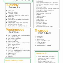 Admirable House Cleaning Checklist Template Apartment Word Services Houseplants Source Unique Best Of