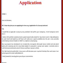 Marvelous Cover Letter For Job Application Resume Letters