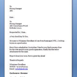 Job Cover Letter Format Professional