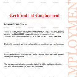 Perfect Employment Certificate Design Template In Word