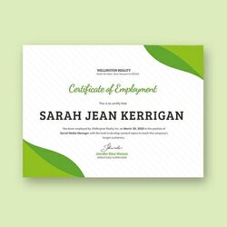 Sample Certificate Of Employment Template Google Docs Illustrator