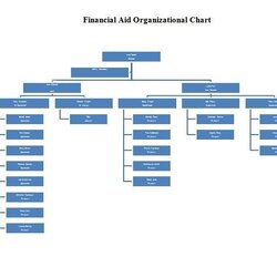 Magnificent Organizational Chart Template Word No Nu