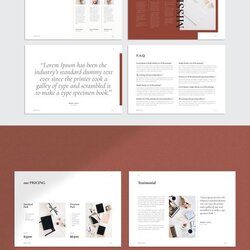 Superlative Media Kit Template In Templates