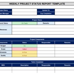 Matchless Weekly Project Status Report Template Reporting