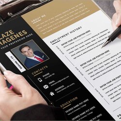 Great Free It Resume Templates Microsoft Word Example Gallery