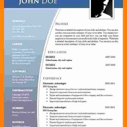 Fine Professional Resume Templates For Microsoft Word