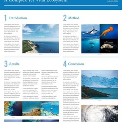Worthy Free Poster Templates Examples Within Academic Publisher Regarding Genial Catching Template