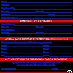 Admirable Wallet Printable Emergency Card Template Templates