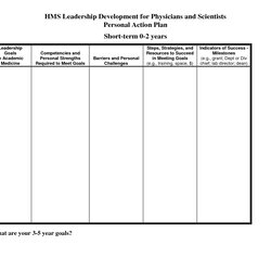 Spiffing Personal Leadership Development Plan Sample Essay On Example Goals Worksheet Business Template