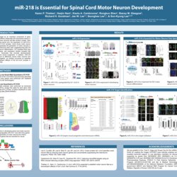 Free Research Poster Templates And Tutorials Illustrator Final