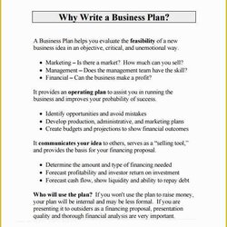 Business Proposal Template Doc Free Download Of Sample Word Funding Delivery Documents In