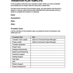 Exceptional Transition Plan Templates Career Individual