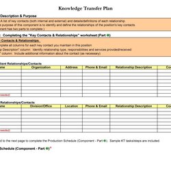 Eminent Transition Plan Templates Career Individual Template Plans Samples Kb