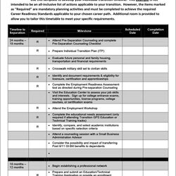 Tremendous Transition Plan Templates Sample Template Example Project