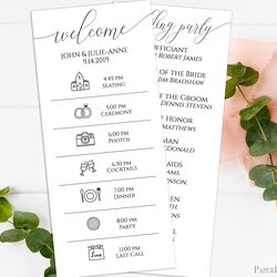 Out Of This World Wedding Day Order Events Program Printable Schedule