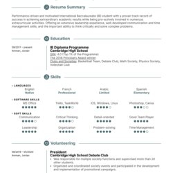 Fantastic First Job Resume Template Image