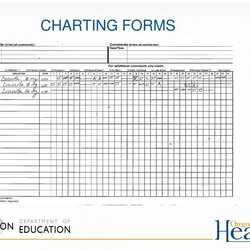 Matchless Medication Administration Record Template Form Stunning High
