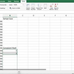 Champion Legal Case Management Excel Template Surprising Example