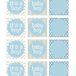 Terrific Boy Baby Shower Free How To Nest For Printable Tags Labels Favor Templates Decorations Tag Banner