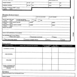 Application In Spanish Fill Out Sign Online