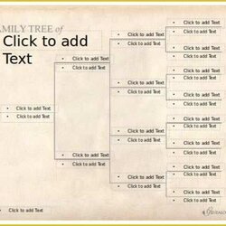 Sterling Family Tree Website Templates Free Download Of Doc