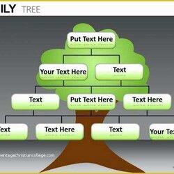 Super Free Family Website Templates Download Of Tree Template Excel Word Printable Navigation Post Adoption
