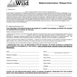Free Sample Medical Release Forms In Ms Word Excel Form Authorization Information