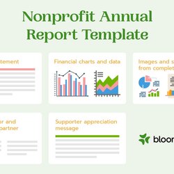 Swell The Essential Nonprofit Annual Report Template Full Guide